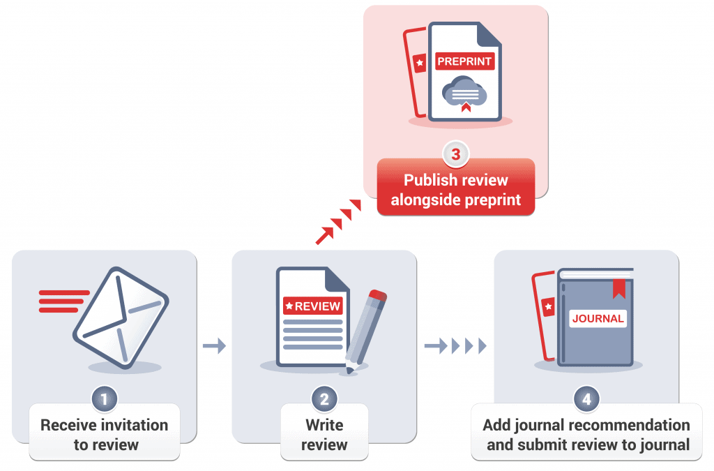 Workflow for publish your reviews. After getting an invitation to review (1) & writing your review (2), publish review alongside preprint (3) and add journal recommendation and submit review to journal (4)